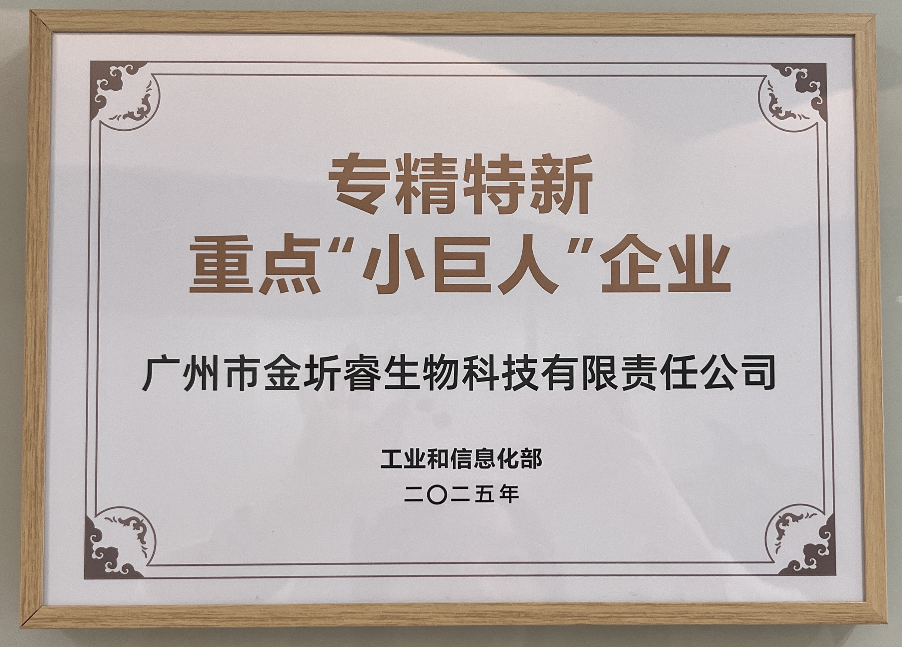 2025年专精特新重点“小巨人”企业